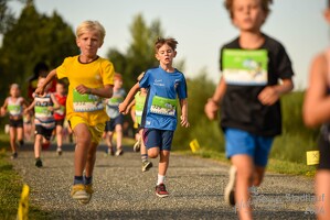 16.WilhelmsburgerStadtlauf-717 53887581950