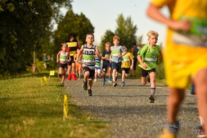 16.WilhelmsburgerStadtlauf-720 53887161581