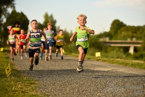16.WilhelmsburgerStadtlauf-722 53887496699