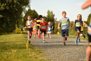 16.WilhelmsburgerStadtlauf-726 53887496989