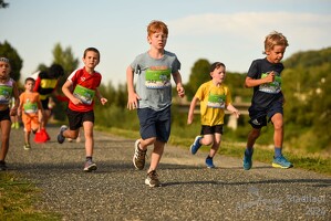 16.WilhelmsburgerStadtlauf-730 53887497314