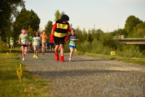 16.WilhelmsburgerStadtlauf-736 53887497689