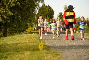 16.WilhelmsburgerStadtlauf-737 53886251667