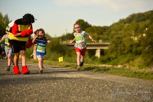 16.WilhelmsburgerStadtlauf-740 53887498214