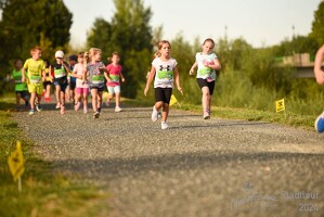 16.WilhelmsburgerStadtlauf-756 53887164576