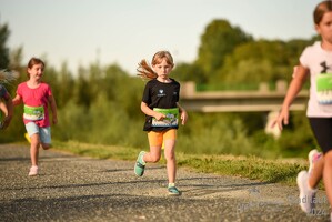 16.WilhelmsburgerStadtlauf-765 53887394548