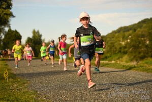 16.WilhelmsburgerStadtlauf-768 53886254027