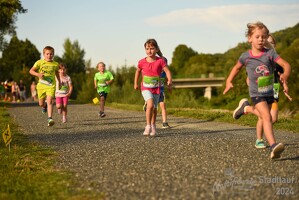 16.WilhelmsburgerStadtlauf-769 53887500524