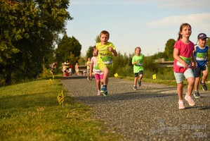 16.WilhelmsburgerStadtlauf-771 53887395268