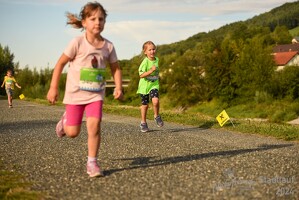 16.WilhelmsburgerStadtlauf-775 53887500869
