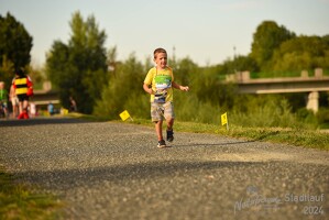16.WilhelmsburgerStadtlauf-783 53887395813