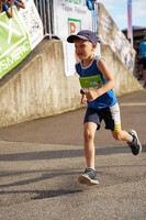 16.WilhelmsburgerStadtlauf-833 53887169496