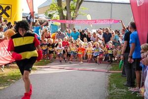 16.WilhelmsburgerStadtlauf-320 53887567060