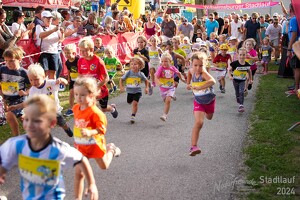16.WilhelmsburgerStadtlauf-331 53887146241