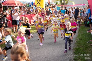 16.WilhelmsburgerStadtlauf-334 53887375353