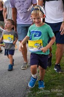 16.WilhelmsburgerStadtlauf-347 53887147376