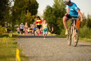 16.WilhelmsburgerStadtlauf-380 53887147936