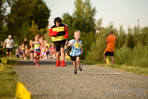 16.WilhelmsburgerStadtlauf-384 53887148301