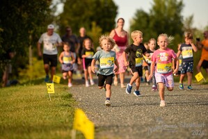 16.WilhelmsburgerStadtlauf-395 53887377553