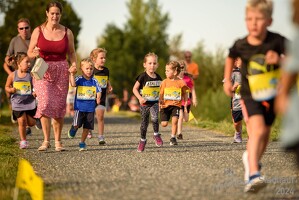 16.WilhelmsburgerStadtlauf-400 53887483964