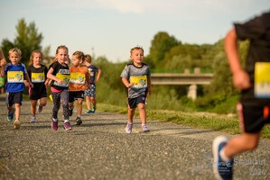 16.WilhelmsburgerStadtlauf-403 53887378138