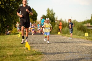 16.WilhelmsburgerStadtlauf-412 53887378608