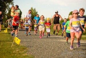 16.WilhelmsburgerStadtlauf-424 53887485439