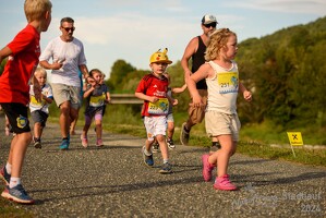 16.WilhelmsburgerStadtlauf-431 53887485644