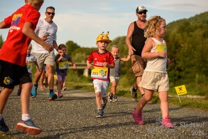 16.WilhelmsburgerStadtlauf-433 53887150901