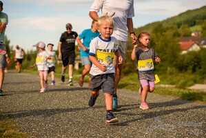 16.WilhelmsburgerStadtlauf-435 53887151116