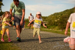 16.WilhelmsburgerStadtlauf-442 53886239887