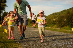 16.WilhelmsburgerStadtlauf-443 53887487059