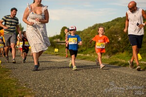 16.WilhelmsburgerStadtlauf-455 53886241002
