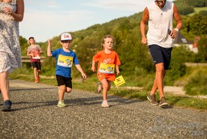16.WilhelmsburgerStadtlauf-457 53887153301