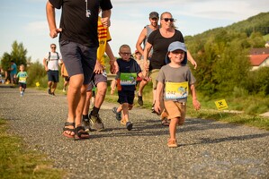 16.WilhelmsburgerStadtlauf-460 53887488324