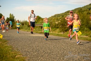 16.WilhelmsburgerStadtlauf-463 53887382613
