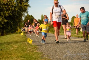 16.WilhelmsburgerStadtlauf-481 53886243897