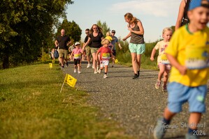 16.WilhelmsburgerStadtlauf-483 53887577175