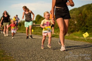 16.WilhelmsburgerStadtlauf-485 53886244227