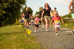 16.WilhelmsburgerStadtlauf-488 53887491589