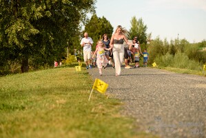 16.WilhelmsburgerStadtlauf-505 53887386748