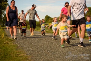 16.WilhelmsburgerStadtlauf-524 53887387643