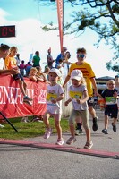 16.WilhelmsburgerStadtlauf-526 53886246872