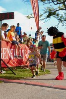 16.WilhelmsburgerStadtlauf-549 53887580760