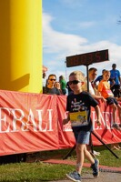 16.WilhelmsburgerStadtlauf-564 53886249252